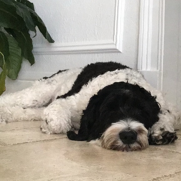 Meet your Posher, Darra - Picture 1 of 1